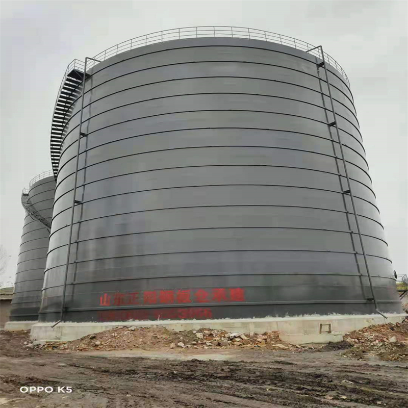 青阳3万吨大型钢板库