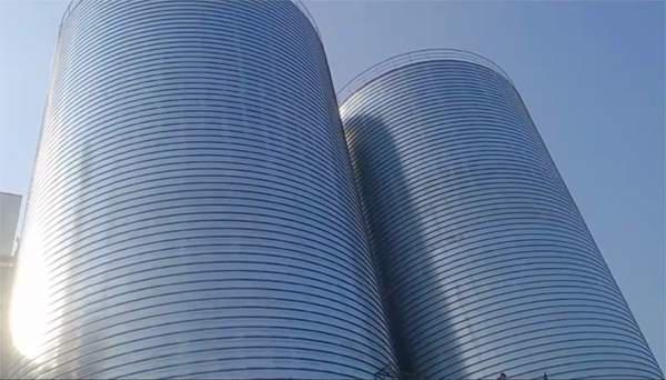 青阳2座混凝土高架卷板仓